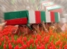 دانشگاه علوم پزشكی زاهدان میزبان دو شهید گمنام می‌شود
