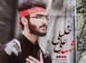شهیدخلیلی