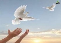 آزادی تعدادی از زندانیان محکوم به اعدام در سیستان و بلوچستان