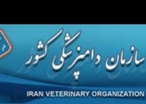 اعزام اکیپ‌های دامپزشکی به مناطق سیل‌زده سراوان