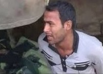 جمشید دانایی فر