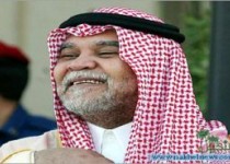 بندربن سلطان با سمی مهلک مسموم شده است