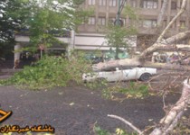 طوفان تهران را با خود برد / آتش نشاني در آماده باش کامل / 4 کشته، 25 مصدوم + فیلم و تصاویر