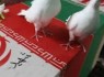 شهادت مامور نیروی انتظامی در درگیری با سوداگران مرگ