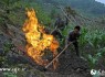 روستایی که با یک جرقه شعله‌ور می شود +عکس
