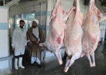 فواید گوشت حلال چیست ؟