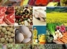 مشمولان لیست دوم سبد کالا مشخص شدند/ شناسایی افراد با حقوق تا یک میلیون