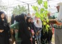 بازدید پژوهش‌گران نوجوان زاهدان از مرکز پژوهشی دانشگاه سیستان و بلوچستان+تصاویر