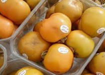 توقیف محموله میوه‌های خارجی در محور اصفهان- دلیجان