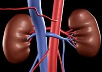 "بیماران کلیوی" هم می‌توانند روزه بگیرند