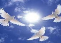 نگاهی از سوی کهریزک به مهربانی شما چشم دوخته