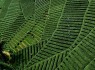 زیبایی های طبیعی از سراسر جهان به روایت تصویر