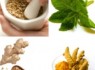 گیاه دارویی زنیان در التیام میگرن تاثیر گذار است