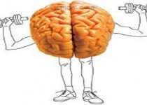 برای داشتن فعالیت های مغزی خوب به این موارد دقت کنید