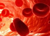 باید و نبایدهای کاهش اروه‌ی خون