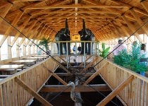 کای گو – کیانگ کشتی نوح خود را شناور کرد