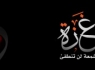 سکوت در قبال فجایع غزه نشان از انفعال شورای امنیت دارد