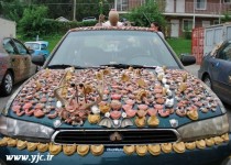 دندان پزشکان عاشق این خودرو می شوند +عکس