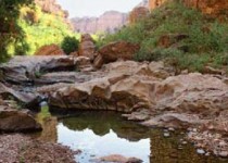 توصیه های لازم برای طبیعت گردی