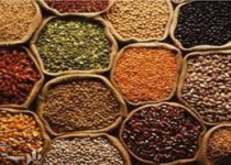 "قیمت حبوبات" 25 درصد کاهش یافت