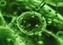 پزشکان امریکایی قربانیان "ابولا"