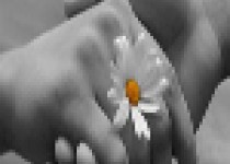 همسر خود را درک کنید!