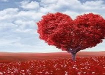 رابطه عاشقانه با 7 تمرین ساده