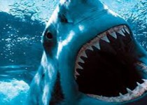 هجوم "غول های اقیانوس" به شبکه مستند