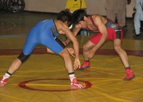 کشتی گیران استان 3 مدال در مسابقات کشوری کسب کردند