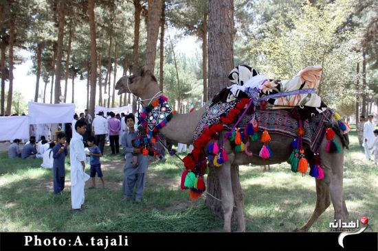 گردهمایی بزرگ عشایر در حمایت از مردم مظلوم غزه/تصاویر
