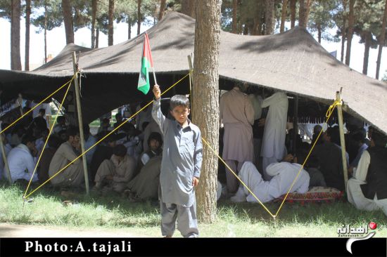 گردهمایی بزرگ عشایر در حمایت از مردم مظلوم غزه/تصاویر