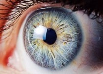 این وسیله رفته رفته چشم هایتان را، از جا در می آورد!