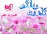 از ساپورت های دیروزی تا ساپورت های امروزی