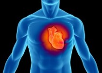 همه آنچه براي قلب ضرر دارد