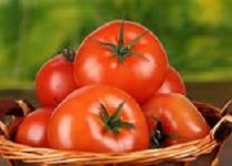 آقایان! گوجه فرنگی بخورید تا سرطان نگیرید!