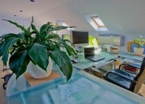 روحیه کارمندانتان را با این کار افزایش دهید!