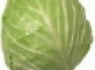 از این 4 سبزی میکروب کش غافل نشوید