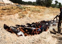 روایت متاثر کننده‌ روزنامه نگار سوئدی از جنایات "داعش" در "عین العرب"