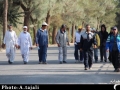 همایش پیاده روی خانوادگی بمناسبت هفته دفاع مقدس/تصاویر
