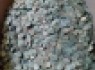 کشف گنجینه 500 میلیونی سکه های رومی +عکس