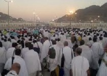 چرا حیوانات از "مشعرالحرام" دور می شوند؟