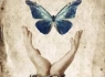 نجات جوان 25 ساله از چوبه اعدام
