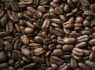 کشف اسرار تاثیر قهوه بر ژنتیک انسان