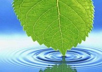 نسخه اى براى گناه كردن!