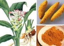 اثرات حیرت انگیز زردچوبه اثرات حیرت انگیز زردچوبه