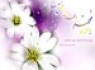 راهکارهای امام هادی (ع) برای فراهم ساختن زمینه‌های ظهور