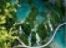 5 نقطه پرباران در کره زمین +عکس