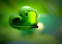 روانشناسی رنگ آرامش