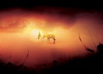 السلام على الجريح الماءسور در زیارت ناحیه مقدسه خطاب به کیست؟