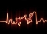 اگر حسین یکی از ما بود، علم و بیرق او را و یادبودش را در هر نقطه از زمین برپا می کردیم